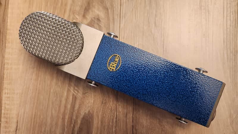 Blue Blueberry Large Diaphragm Condenser Microphone