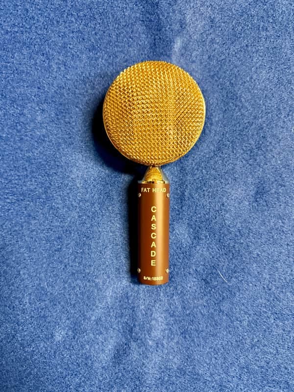 Cascade Fat Head 2019 - Brown / Gold