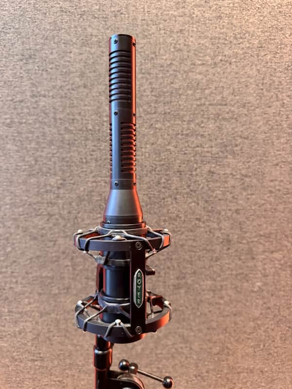 Royer SF-24 Stereo Active Ribbon Microphone
