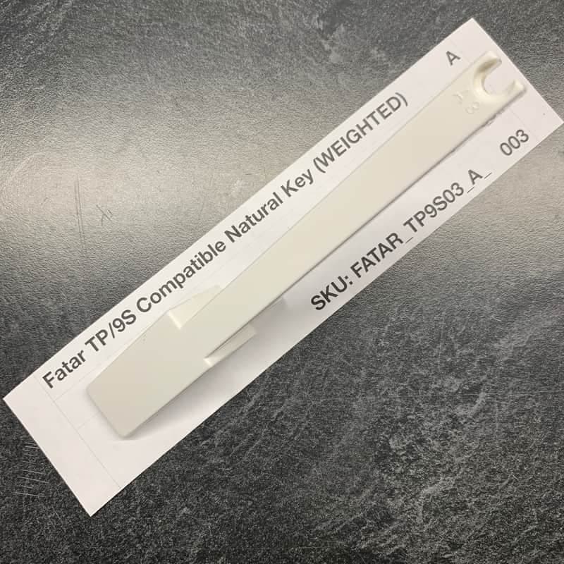 Fatar Replacement Weighted A Key (TP/9S Keybeds) for Sequential Prophet-6, Access Virus Indigo 2/TI Polar, Moog Grandmother/Matriarch, Oberheim OB-X8/OB-6/TVS Pro, Waldorf Blofeld/Microwave XTk, Ensoniq Fizmo, & more