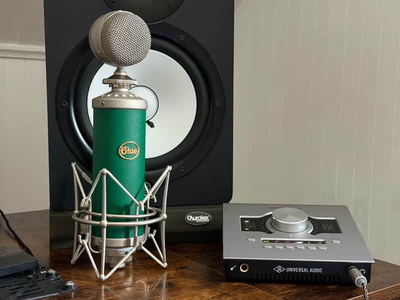 Blue Kiwi Large Diaphragm Multipattern Condenser Microphone