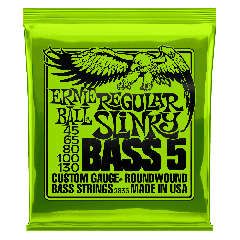 Ernie Ball 5-String Regular Slinky Bass Guitar Strings